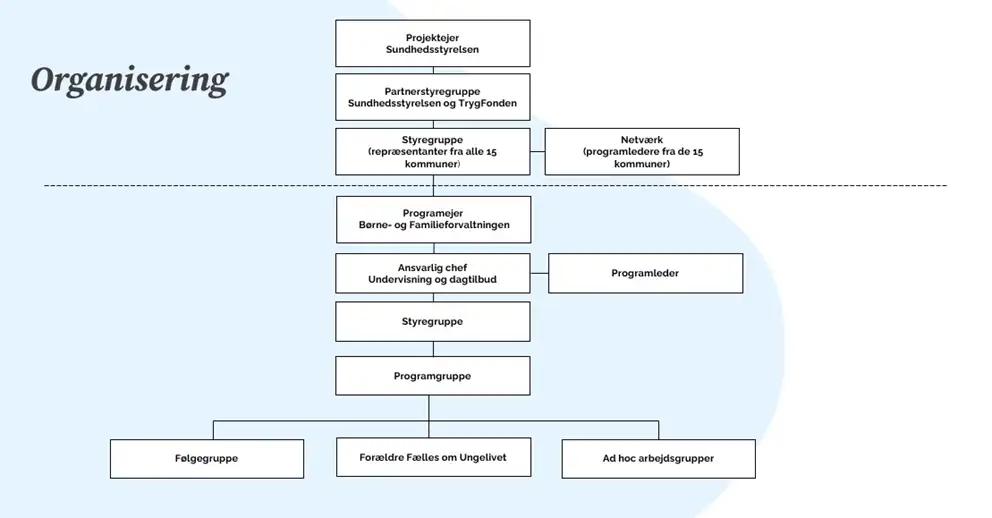 Organisationsdiagram der  viser hvordan projektet er sammensat