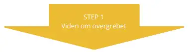 Step 1: viden om overgrebet