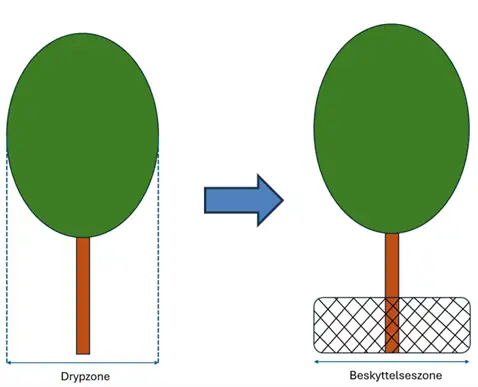Drypzone og beskyttelseszone